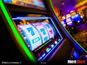 255bet|Bingo Online com Mais de 1000 Slots – Aposte e Vença