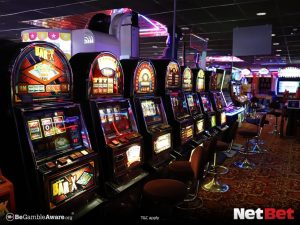 255bet|Cassino Brasileiro com Bônus Sem Rollover – Participe Já